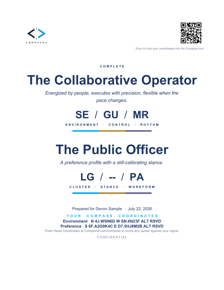 Complete sample report cover: The Public Officer